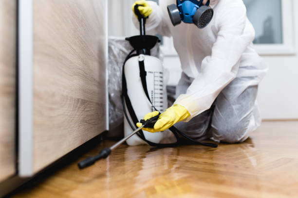 Best Affordable Pest Control Services  in Kissimmee, FL