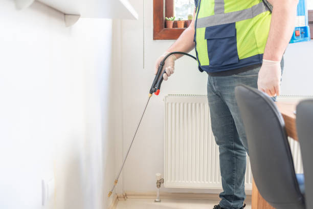 Trusted Kissimmee, FL Pest Control Experts