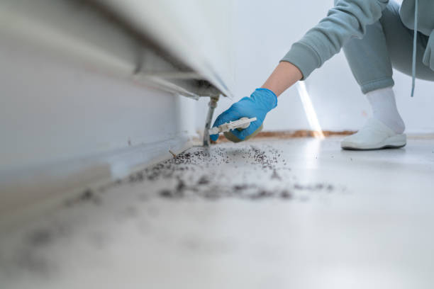 Best Commercial Pest Control Services  in Kissimmee, FL